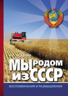 Иван Осадчий - Мы родом из СССР. Книга 2. В радостях и тревогах…