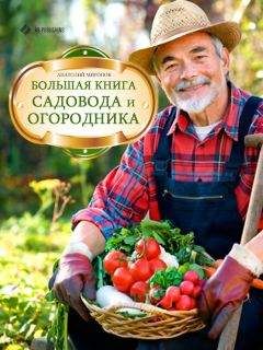 Галина Серикова - Отличный урожай круглый год
