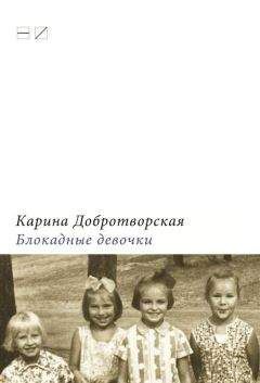 Кэтрин Ласки - Золотая страна. Нью-Йорк, 1903. Дневник американской девочки Зиппоры Фельдман