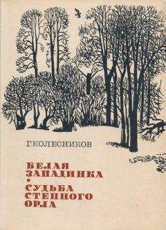 Михаил Герчик - Ветер рвет паутину