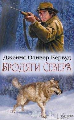 Теодор Фонтане - Сесиль. Стина (сборник)