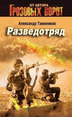 Александр Тамоников - Штурмовая Бригада