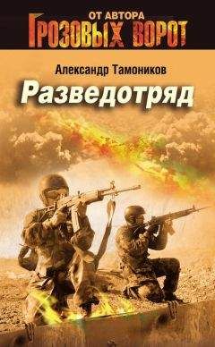 Александр Тамоников - Служили два товарища