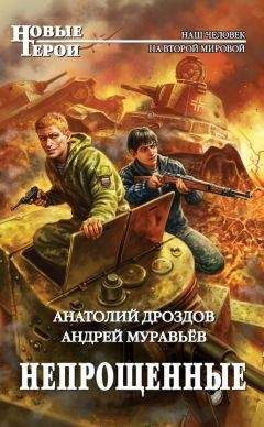 Юрий Стукалин - Звездный штурмовик Ил-XXII. Со Второй Мировой - на Первую Звездную