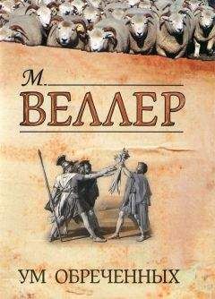 Михаил Веллер - Долина идолов