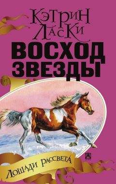 Эрнест Сетон-Томпсон - Рольф в лесах