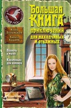 Елена Нестерина - Большая книга детективных приключений (сборник)