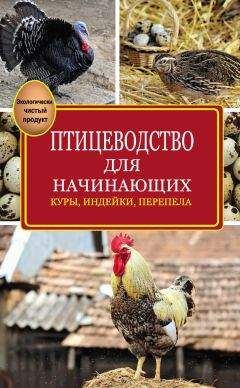 Эдуард Бондарев - Птицеводство для начинающих