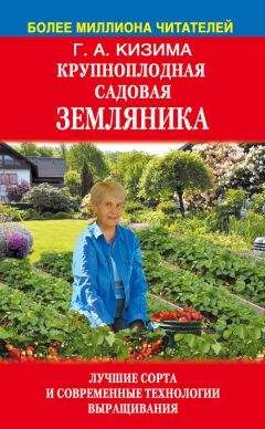 Галина Кизима - Без труда не съешь и ягодку с куста