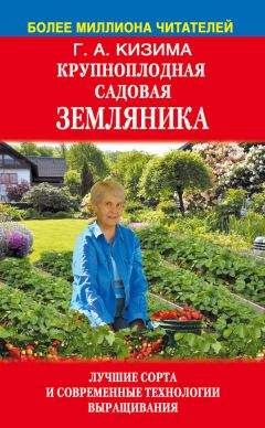 Галина Кизима - Цветущий сад легко и просто. Зеленый и красивый участок круглый год