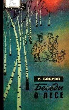 Геннадий Свиридонов - Лесной огород