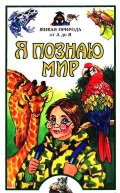 Наталия Соломко - Я познаю мир: Чудеса света