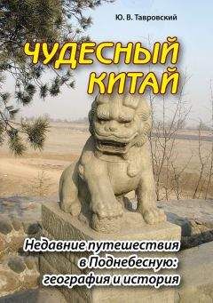 Рейн Крюгер - Китай. Полная история Поднебесной