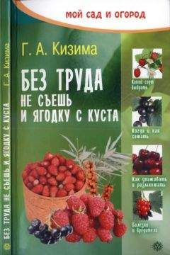 Галина Кизима - Без труда не съешь и ягодку с куста