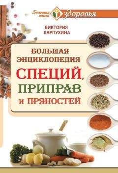 Виктория Карпухина - Большая энциклопедия специй, приправ и пряностей