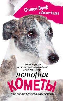 Рейнбоу Рауэлл - Верность
