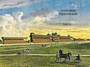 Татьяна Романова - Сизые зрачки зла