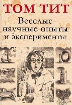 Александр Дмитриев - Как понять сложные законы физики. 100 простых и увлекательных опытов для детей и их родителей