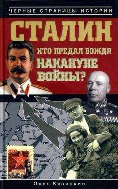 Олег Романько - Коричневые тени в Полесье. Белоруссия 1941-1945