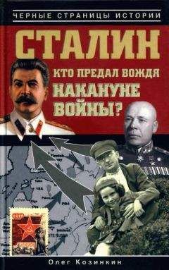 Вальтер Швабедиссен - Сталинские соколы - Анализ действий советской авиации в 1941-1945 гг