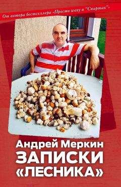 Николай Старостин - Звезды большого футбола