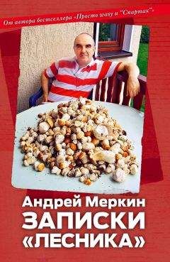 Игорь Оруженосцев - Ещё не вечер…