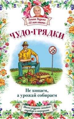 Галина Кизима - Чудо-грядки: не копаем, а урожай собираем