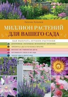 Андрей Ильин - Школа выживания. Как избежать голодной смерти