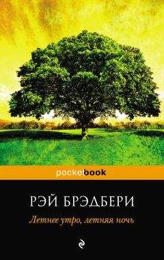 Рэй Брэдбери - Вождение вслепую