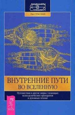 Арнольд Минделл - Процессуальный ум. Руководство по установлению связи с Умом Бога