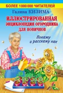Галина Кизима - Большая книга умного дачника