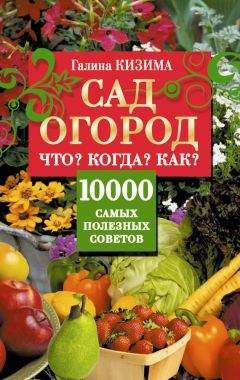 Галина Кизима - Большая энциклопедия садовода-огородник от А до Я