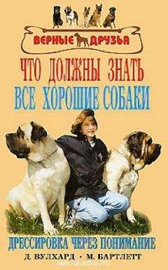 Константин Ткаченко - Бездомные и бродячие собаки