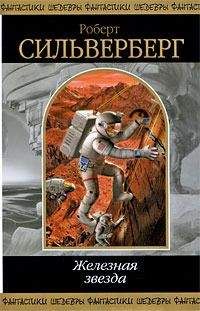 Роберт Силверберг - Космический бродяга [= Бродяга из космоса]