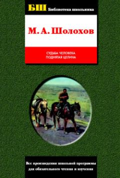 Михаил Шолохов - Поднятая целина