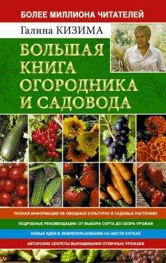 Наталья Герасимова - Плоскорез Фокина! Вскопать, прополоть, прорыхлить и скосить за 20 минут