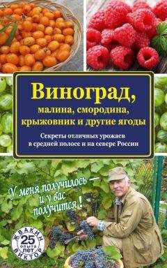 Татьяна Литвинова - Как вырастить виноград в Подмосковье и средней полосе России