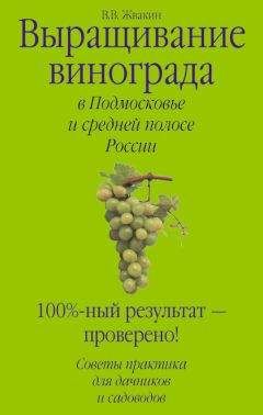 Рихард Шредер - Русский огород, питомник и плодовый сад. Руководство к наивыгоднейшему устройству и ведению огородного и садового хозяйства