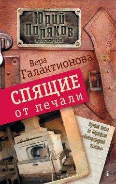 Роман Воликов - Тень правителей (сборник)