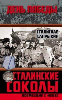 Петр Асташенков - Командарм крылатых