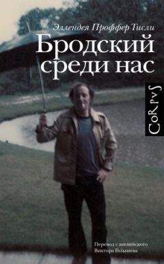 Карл Маннергейм - Карл Густав Маннергейм. Мемуары