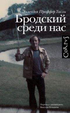 Яков Гордин - Рыцарь и смерть, или Жизнь как замысел: О судьбе Иосифа Бродского