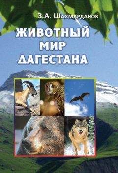 Владимир Сядро - 100 знаменитых загадок природы