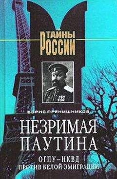 Борис Прянишников - Незримая паутина