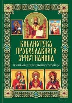 Павел Михалицын - Чудодейственная сила материнской молитвы