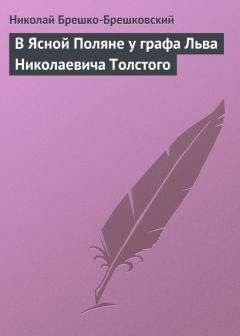 Александр Гольденвейзер - Вблизи Толстого. (Записки за пятнадцать лет)