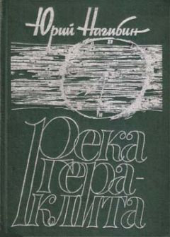 Юрий Нагибин - Чистые пруды