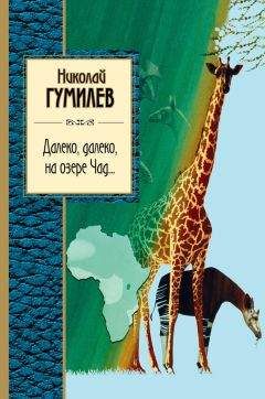  Антология - Жемчужины любовной русской лирики. 500 строк о любви. XIX век