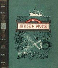 Владимир Водяницкий - Записки натуралиста