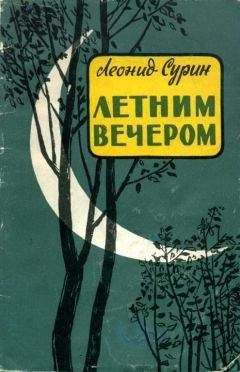 Леонид Сурин - Летним вечером